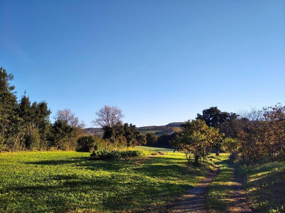 Albergue Casa Vacas Carriazo Bagian luar foto